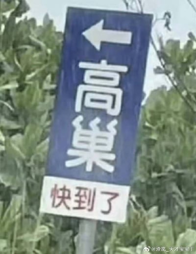 图片主体是一块竖立在绿植中的蓝底路牌。路牌上方有一个白色向左箭头，箭头下方是两个竖向排列的白色大字“高巢”；路牌底部附有一块白色底条，上面写着红色的“快到了”。字面意思是沿左方向前往高巢这个地方，并且快要到达。但“高巢”与“高潮”同音，配合“快到了”形成双关，产生“高潮快到了”的暧昧搞笑效果。图片清晰度较低，带有网络传播痕迹，右下角可见微博水印。