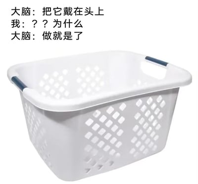 这是一张趣味图文梗图，上方呈现了一段“大脑”与“我”的无厘头对话：大脑要求把下方的洗衣篮戴在头上，面对“我”的疑惑，大脑只要求执行。下方是一个带有深色把手的白色镂空洗衣篮，整体内容调侃了人们脑海中偶尔会冒出的毫无逻辑、没有缘由的奇怪想法，用这种无厘头的反差感制造搞笑效果，让人共鸣那种突然出现的莫名其妙的念头。