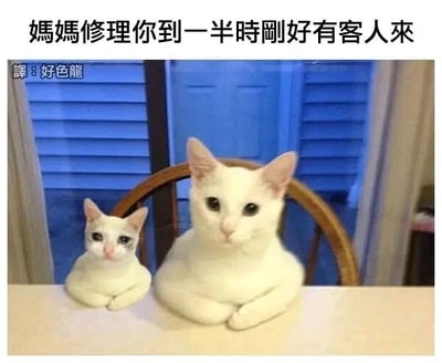 这是一张文字加注的P图改编静态梗图，画面里一大一小两只白色猫咪趴在桌子上，小猫咪脸部看起来有些脏污，神态委屈低落，大猫咪则神态平静、故作镇定。图片上方配有文字“妈妈修理你到一半时刚好有客人来”，左下角标注“译：好色龙”，用猫咪的形象模拟现实中家长教训孩子时，突然有客人到访只能暂停，孩子一脸委屈、家长强装镇定的家庭日常场景，生动有趣，精准戳中这类生活里的搞笑瞬间。