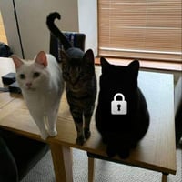 虎斑猫咪