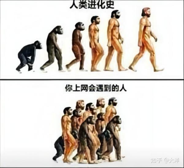 经典人类进化科普示意图