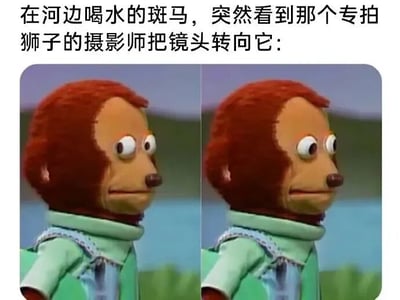 图片上方配有文字描述：'在河边喝水的斑马，突然看到那个专拍狮子的摄影师把镜头转向它：'，下方是两张并排的木偶猴子图片。猴子有着红色毛发，穿着绿色上衣和蓝色背带裤，双眼圆睁，表情惊讶地看向侧面，左右两张图姿态基本一致，通过重复构图强化了被注视时的紧张或警觉感，整体营造出幽默的情景效果。