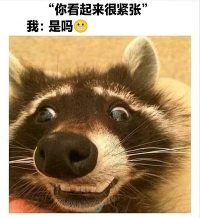 图片上方有文字“你看起来很紧张”，下方文字为“我: 是吗😬”。中间是一张浣熊的面部特写照片：浣熊睁着圆溜溜的大眼睛，眉毛微微上挑，嘴巴咧开露出牙齿，表情看似在微笑，实则眼神中透露出明显的紧张和慌乱，形成一种“表面镇定内心慌张”的反差萌。这种表情与文字结合，幽默地展现了人们试图掩饰紧张情绪却适得其反的场景，常用于调侃或自嘲在压力下强装淡定的状态。