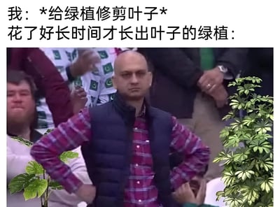 图片上方文字描述了场景：“我：*给绿植修剪叶子* 花了好长时间才长出叶子的绿植：”，下方是一张经过编辑的照片。照片中一名男子双手叉腰，表情严肃且略带无奈，左右两侧被添加了绿色植物的图像，以此拟人化表现绿植在被修剪时的“内心不满”，整体营造出幽默的日常场景。