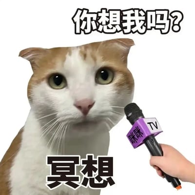 这是一张经过P图改编的搞笑静态梗图，画面主体是一只表情严肃、眼神直视前方的橘白猫咪，神态仿佛正处于冥想沉思状态。画面右侧有一只手握着带有“咪咪TV”标识的麦克风，模拟采访的场景。图片上方配文“你想我吗？”，以提问的形式引出，下方配文“冥想”，用猫咪的沉思状态来回应这个问题，形成一种无厘头的幽默效果，用来调侃或表达自己不愿回应问题、陷入沉思的情绪，适合在社交聊天中使用。
