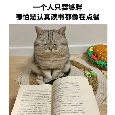 图片中一只胖乎乎的灰色虎斑猫正坐在编织垫子上，闭着眼睛，面前摊开着一本翻开的书，仿佛在认真阅读。猫的右侧放着一个汉堡形状的玩具，配合上方文字"一个人只要够胖 哪怕是认真读书都像在点餐"，形成幽默的视觉效果。通过胖猫看书的姿态与汉堡玩具的搭配，巧妙地营造出一种"胖到连读书都像在看菜单点餐"的喜剧反差。