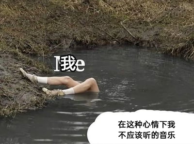 这张图用一个将上半身完全埋在浑浊泥水里、只露出双腿搭在岸边的人物形象，来代表情绪低落的“我”，人物上方的文字将原有的“Me”替换为“我”，右下角的对白气泡写着“在这种心情下我不应该听的音乐”，生动地表现出当人处于emo、低落的情绪中时，却听了会加重负面情绪的音乐，那种心情雪上加霜、只想逃避现实的颓废感，很容易引发有类似经历的人的共鸣。