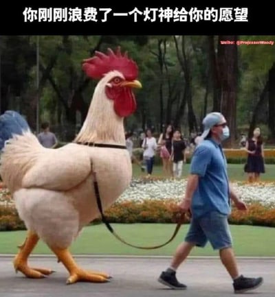 画面中一位男子在公园里遛着一只体型巨大的公鸡，异常反差，公鸡的体型和人一样大，显然是后期合成而来。配文“你刚刚浪费了一个灯神给你的愿望”，搞笑地表达了许愿者本可获得更酷或有用的东西，却反而实现了一个无厘头甚至鸡肋的心愿。整个画面诙谐幽默，具有荒诞意味，是典型的反差梗图。