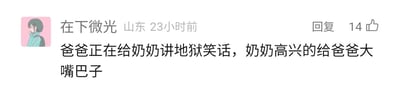 这是一张社交媒体评论区的静态截图，属于单图图文混排内容。截图左上角是用户“在下微光”的卡通头像，头像右侧显示用户名、IP地址“山东”以及发布时间“23小时前”；右上角有“回复”按钮和14个点赞的标识。截图的核心内容是用户发布的一条搞笑段子：“爸爸正在给奶奶讲地狱笑话，奶奶高兴的给爸爸大嘴巴子”。这个段子运用了反语的手法，“高兴”实际是反话，地狱笑话通常是带有冒犯性的黑色幽默内容，奶奶的耳光反应暗示了爸爸讲的笑话冒犯到了奶奶，这种反差感构成了段子的笑点，属于典型的网络黑色幽默创作。