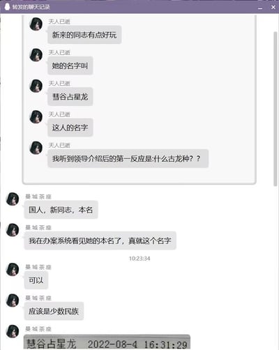 这是一张聊天记录截图，展示了两位网友关于新同事名字的有趣对话。一位网名为「天人已逝」的用户分享自己听到新同事名字「彗谷占星龙」时，第一反应误以为是「古龙种」（可能指游戏或动漫中的龙类生物），引发了搞笑的误会。另一位网友「曼城茶座」则证实这确实是对方的本名，并推测可能是少数民族名字。整个对话充满了职场生活中的轻松幽默瞬间，展现了因特殊名字产生的趣味误解。