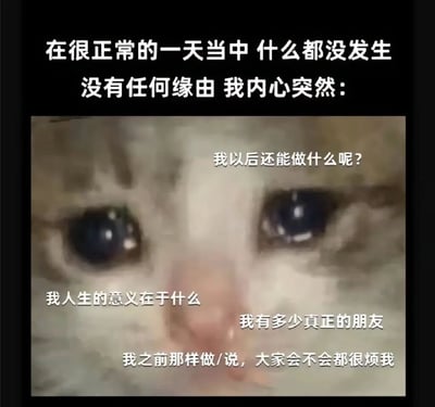 这张梗图上方是黑色背景配白色文字：'在很正常的一天当中 什么都没发生 没有任何缘由 我内心突然：'，下方是一张猫的脸部特写，猫有着大大的、略带忧郁的眼睛。猫脸图片上叠加了几行白色文字，内容是一系列内心焦虑的疑问：'我以后还能做什么呢？'、'我人生的意义在于什么'、'我有多少真正的朋友'、'我之前那样做/说，大家会不会都很烦我'。整体通过猫咪的忧郁眼神和内心独白式的文字，幽默地表现了现代人在平静生活中突然出现的精神内耗和存在焦虑。