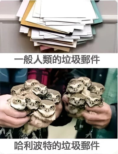图片分为上下两部分进行幽默对比。上半部分展示一堆杂乱堆叠的各色纸张，配文“一般人类的垃圾邮件”，象征普通人收到的垃圾邮件如同废纸般令人困扰；下半部分则是两只手捧着多只呆萌的猫头鹰雏鸟，配文“哈利波特的垃圾邮件”，巧妙结合《哈利波特》中猫头鹰传递信件的设定，暗示巫师世界的“垃圾邮件”都如此可爱。通过反差萌制造笑点，深受哈利波特粉丝喜爱。