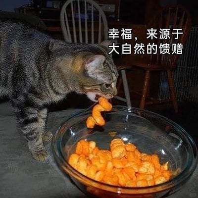 这是一张静态趣味梗图，画面主体是一只狸花猫，它正低头专注地从玻璃大碗里叼起一串造型独特的橙色膨化零食，碗中还盛放着大量同款零食。图片右上角配有文字“幸福，来源于大自然的馈赠”，用拟人化的调侃方式，将猫咪偷食/误食人类零食的行为包装成“享用大自然馈赠”，制造出反差搞笑的效果，猫咪专注进食的神态显得十分满足，充满生活趣味。