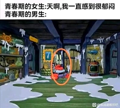 这是一张用来调侃青春期男女情绪表达差异的图文混排梗图。图中上方分为两行文字，第一行是青春期女生的情绪表达：“天啊,我一直感到很郁闷”，直白地抒发内心的烦闷；第二行标注“青春期的男生:”，下方搭配美国动画《海绵宝宝》里蟹老板的截图，画面里蟹老板身处结满冰的房间，地面和房梁都有冰碴，蟹老板身体蜷缩，双眼瞪大，表情发懵僵硬，用这个夸张的结冰场景和蟹老板呆滞的状态，隐喻青春期男生的情绪表达相对内敛、不善抒发，仿佛情绪被“冻住”，和女生的直白形成鲜明对比，用幽默的方式展现青春期男女的情绪差异。