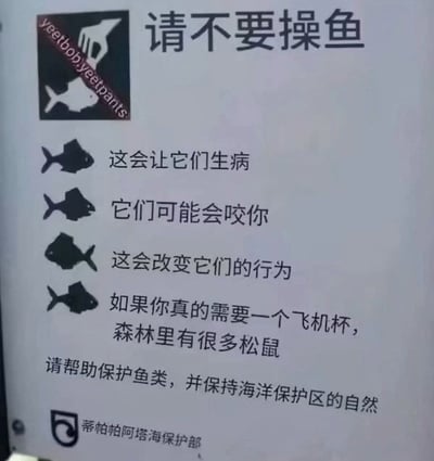 这是一张翻拍的恶搞公示类图片，整体模仿官方海洋保护告示的版式设计，顶部配有手触碰鱼的标识与大号文字“请不要操鱼”，利用中文谐音制造玩梗效果；下方依次罗列四条禁止“操鱼”的理由，前三条看似符合保护海洋生物的正常逻辑，第四条突然跳转至无厘头且带有低俗暗示的内容“如果你真的需要一个飞机杯，森林里有很多松鼠”，内容跳转十分离谱，形成强烈的搞笑反差；末尾标注了正常的保护鱼类倡议，落款为虚构的“蒂帕帕阿塔海保护部”，整体风格荒诞搞笑，属于典型的网络整活梗图。