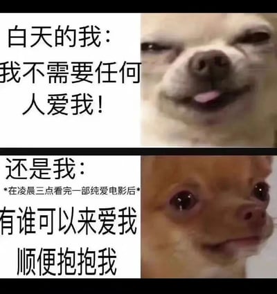 该梗图为上下对比结构，上方左侧文字“白天的我：我不需要任何人爱我！”搭配一只咧嘴吐舌、表情自信的吉娃娃照片；下方左侧文字“还是我：*在凌晨三点看完一部纯爱电影后* 有谁可以来爱我 顺便抱抱我”对应一只仰头睁大眼睛、表情委屈期待的吉娃娃照片。通过宠物表情与文字内容的反差，幽默展现现代人白天故作坚强、深夜感性脆弱的真实心理状态。
