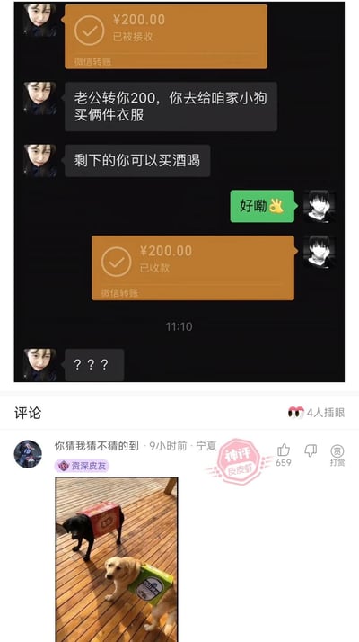 图片为微信聊天记录截图与评论区的拼接。聊天中，老婆转账200元给老公并留言：“老公转你200，你去给咱家小狗买俩件衣服，剩下的你可以买酒喝”，老公回复“好嘞👌”。随后老公转账200元给老婆，老婆发“??? ”表示疑惑。评论区置顶“神评”配图显示两只小狗分别穿着红色和绿色纸箱当作衣服，幽默诠释了“给小狗买衣服”却花光所有钱的场景，引发搞笑效果。