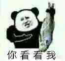图片中是一个卡通熊猫头形象，有着人类般的圆脸和标志性的黑色眼斑，它右手高举着一条鱼，下方配有文字“你看看我”。整体风格简洁幽默，熊猫表情俏皮，仿佛在带着炫耀或期待的语气让人关注它手中的鱼，常用于聊天中以轻松搞笑的方式吸引对方注意。