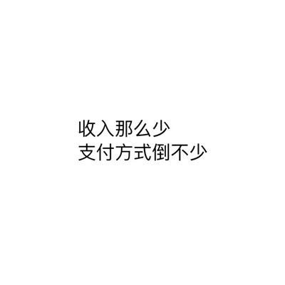 收入少但支付方式多