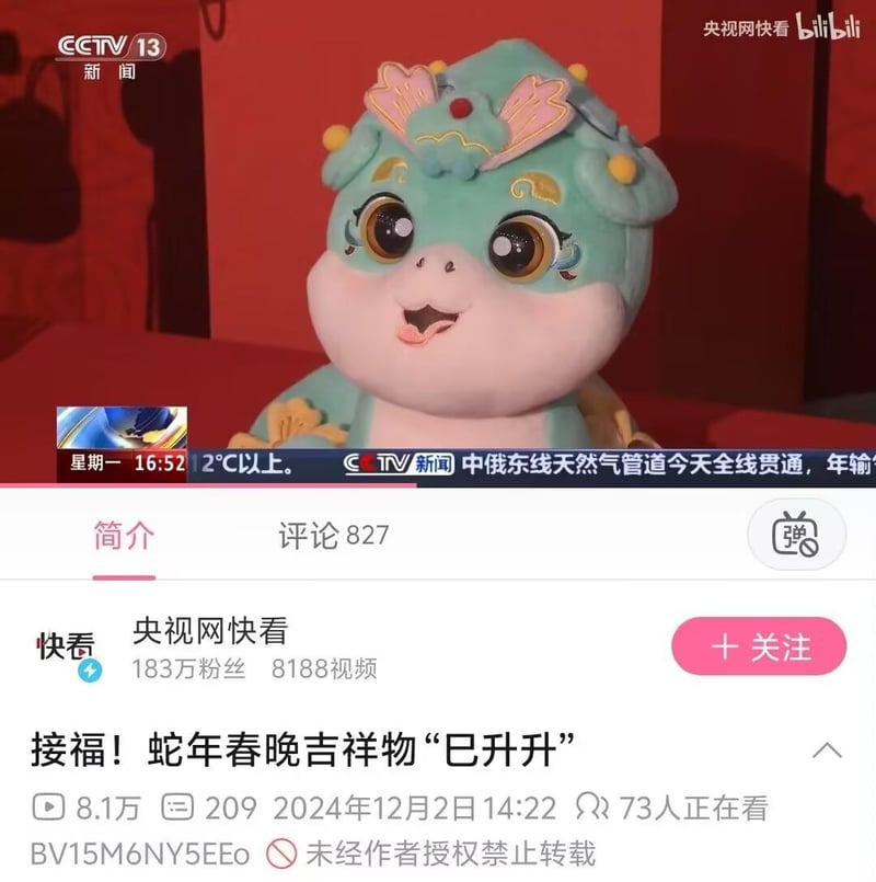 2025年中央广播电视总台春节联欢晚会