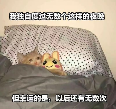 一张展示猫咪独自躲在被子里的图片，旁边放着一个黄色兔子玩偶。图片上方有文字"我独自度过无数个这样的夜晚"，下方有文字"但幸运的是，以后还有无数次"。这张图片通过可爱的猫咪形象和略带幽默的文字，表达了一种独自生活的状态，带有自嘲和无奈的情绪。