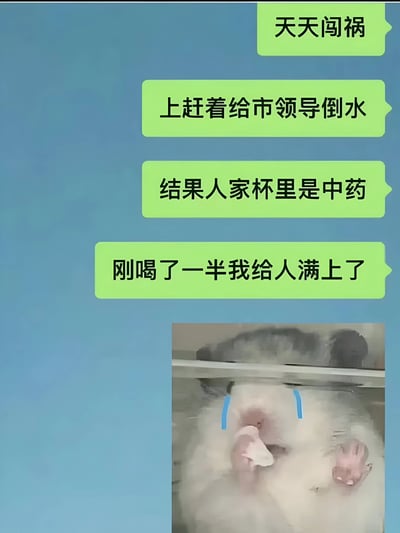 图片上方为四行绿色对话框文字，内容为职场社死经历：“天天闯祸”“上赶着给市领导倒水”“结果人家杯里是中药”“刚喝了一半我给人满上了”。下方右侧配有一只仓鼠图片，仓鼠眼睛贴着蓝色胶带似流泪，手持纸巾，表情委屈，生动展现了叙述者的尴尬与无奈情绪。