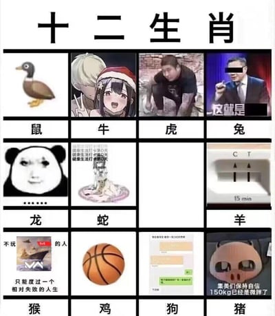 这张图将传统十二生肖替换为当下热门的网络梗图，对每个生肖进行玩梗式重构：
1. 鼠：对应绿头鸭，玩“鼠头鸭脖”事件的谐音梗；
2. 牛：《间谍过家家》阿尼亚与次子的圣诞同人图，用可爱画风对应牛；
3. 虎：网络知名的“虎哥”梗图，对应生肖虎；
4. 兔：“这就是XX”的打码梗图，对应生肖兔；
5. 龙：熊猫头“……”无语表情梗图，对应生肖龙；
6. 蛇：“健康生活打卡第0天”的史莱姆流体质感图，用形态对应蛇；
7. 羊：新冠抗原检测阳性（两条杠）的图，玩“羊”与“阳”的谐音梗；
8. 猴：“不玩《无畏契约》的人只能度过一个相对失败的人生”的梗图，对应生肖猴；
9. 鸡：篮球梗图，对应蔡徐坤“鸡你太美”的热门梗；
10. 狗：舔狗式聊天记录梗图，对应生肖狗；
11. 猪：“150kg已经是微胖了”的自信猪头套梗图，对应生肖猪。
整体通过谐音梗、热门事件梗、亚文化梗的结合，用趣味方式重构传统生肖，充满网感。