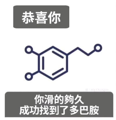 这是一张结合化学知识与网络趣味梗的图文内容，整体为上下布局的静态图。上方灰色矩形框内配有白色文字“恭喜你”，中间位置展示了多巴胺的化学结构式，下方灰色矩形框内是白色文字“你滑的夠久 成功找到了多巴胺”。图片将人们长时间刷手机（网络冲浪）的行为，与能带来愉悦感的神经递质多巴胺结合，玩了一个趣味双关梗，调侃人们沉迷网络冲浪、不断追求愉悦感的状态，用轻松幽默的方式将化学知识融入日常场景。