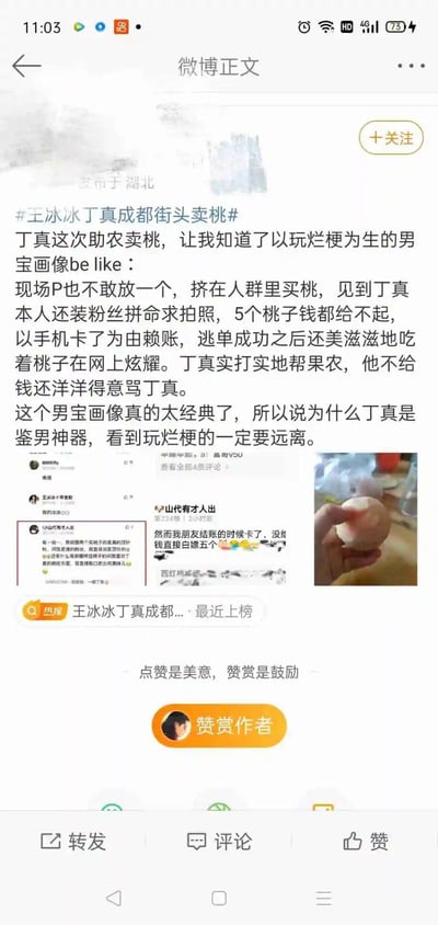 这是一张发布于湖北的微博正文截图，围绕#王冰冰丁真成都街头卖桃#话题展开。博主吐槽丁真助农卖桃现场，有玩烂梗的男性逃单买桃，见到丁真装粉丝求拍照，以手机卡为由逃单后还在网上炫耀、辱骂丁真，总结出这类“男宝”的经典画像，称丁真是“鉴男神器”，呼吁远离玩烂梗的人。截图还附上了相关评论截图和桃子的实拍图，界面带有微博的热搜标识、转发评论赞等功能按钮。