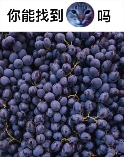这是一张视觉趣味挑战图，图片顶部配有文字“你能找到😼吗”，下方是密集排列的深紫色葡萄，一只猫咪的脸部被通过图像合成的方式融入葡萄堆中，猫咪的深色毛发与葡萄颜色相近，形态也和葡萄有相似之处，需要观看者仔细观察才能分辨出猫咪的位置，整体用于考验观看者的观察力，属于网络上流行的捉迷藏类趣味互动内容。