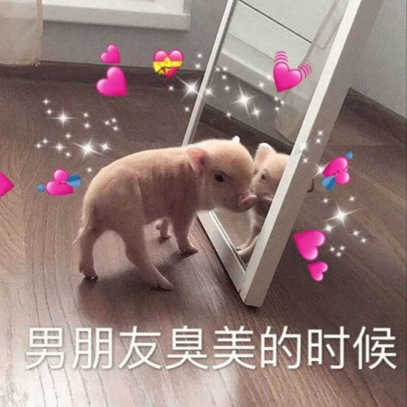 小猪照镜子模仿男朋友臭美
