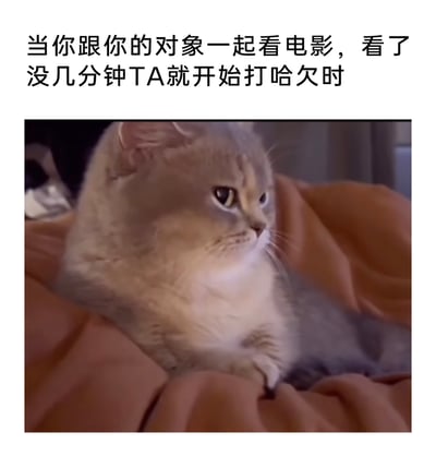 这是一张搞笑吐槽类的表情包，上方配文描述了情侣共同看电影时，没过几分钟对象就开始打哈欠的日常场景，下方是一只侧躺在棕色毯子上的金渐层猫咪，它眼神斜视，面部表情满是嫌弃、无语，完美还原了此时当事人内心的不满、无奈又略带小情绪的心情，用猫咪的生动神态来具象化这种情侣相处中的小尴尬瞬间，十分贴近生活，容易引发情侣群体的共鸣。