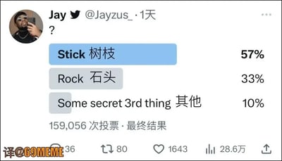 这是一张推特截图梗图，用户Jay发起了一项搞笑投票，选项分别为“Stick 树枝”、“Rock 石头”以及神秘的“Some secret 3rd thing 其他”，最终树枝以57%的得票率获得胜利。这种风格的投票带有随机、无厘头和玩梗性质，常用来调侃或者恶搞常规的选择题模式。中英文对照的翻译风格也增加了趣味性。没有明显的谐音梗，但“Some secret 3rd thing”以神秘性调侃形式，带有网络二次创作的暗示感。