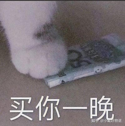 这张梗图中，一只猫咪的爪子压在一张纸币上，下方配有大字“买你一晚”。画面反差、氛围搞笑，将“买你一晚”这种常见调侃和猫咪的可爱形象结合，形成了强烈的幽默感。此类梗图多用于表达带有玩笑意味的“交易渴望”，比如暗示想获得某人的注意或陪伴一晚。

其中，“买你一晚”具有轻微双关和暧昧的含义，常在社交网络用于朋友间玩梗。