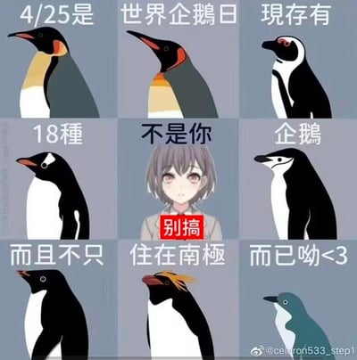 这是一张九宫格形式的趣味科普梗图，结合4月25日世界企鹅日进行企鹅小知识科普：现存有18种企鹅，且企鹅并非只生活在南极。图中将科普文字拆分到九宫格中，中间格子插入了配文“别搞”的动漫女孩表情包，玩了文字拆分的搞笑效果，把原本正经的科普变得活泼有趣，风格年轻化，适合社交平台分享传播。