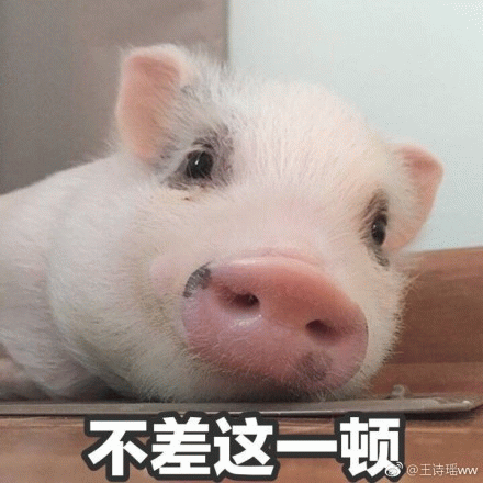 小猪摆烂式干饭：不差这一顿