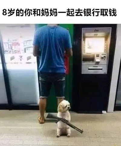 图片上方有文字“8岁的你和妈妈一起去银行取钱”，画面中一名穿蓝色T恤和牛仔短裤的男子正背对着镜头使用ATM机，其前方地面上坐着一只小狗，小狗前爪抱着一把步枪，表情平静。通过将小狗拟人化持有步枪的夸张画面，幽默地表现出8岁孩子跟随家长去银行时，可能会有的那种模仿成人“保护”或“警惕”的天真视角，形成一种反差萌的搞笑效果。