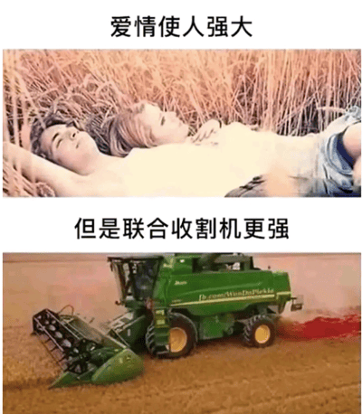 图片分为上下两部分。上半部分是一对情侣躺在金黄色的麦田中，背景是高高的麦秆，两人姿态放松，上方配有文字“爱情使人强大”，营造浪漫氛围。下半部分则是一台绿色的联合收割机正在麦田中作业，机器前方有红色液体（疑似夸张表现收割效果），下方文字“但是联合收割机更强”。通过将爱情的情感力量与工业机械的实际力量进行幽默对比，产生反差萌的搞笑效果。