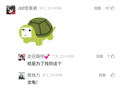这是一张社交媒体评论区的静态截图，来自不同地区的网友展开趣味互动。用户“ddl受害者”发布了一张经过二次创作的P图：将卡通乌龟的头部替换成带有搞怪表情的人脸，制作成搞笑表情包；用户“走花路吧💓”回复表示自己正是为了找这张图而来；用户“彼格力”则评论“龙龟！”，玩起谐音梗，将这张P图形象和游戏《英雄联盟》里的英雄“披甲龙龟·拉莫斯”关联起来，整个互动充满网络玩梗的轻松趣味，是网友间分享、交流趣味表情包的典型场景。