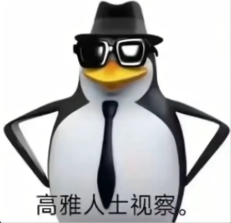 高雅人士视察