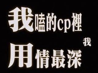 这张图是饭圈、同人圈常见的自嘲文字梗。内容表现出粉丝在自己喜欢的CP（即情侣配对）中最为用情投入、执着的心情，有种苦情和自我调侃的意味。配色为黑底白字，非常有视觉冲击力，也象征一种“无言的深情”。常被用作发泄追星或磕CP时的情感共鸣。没有明显的双关或谐音梗，但“用情最深”的说法带有一点自虐和搞笑的反差。