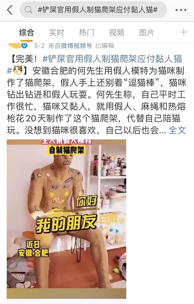 这是一张微博截图，展示了安徽合肥一位铲屎官为解决猫咪黏人问题而创意制作的假人猫爬架。图片中可以看到一个全身假人模特被改造成猫爬架，身上贴有各种猫咪贴纸，手上还别着逗猫棒。据帖子内容，何先生因工作繁忙无法经常陪伴猫咪，于是花费20天时间，用假人、麻绳和热熔枪等材料制作了这个创意猫爬架，成功代替自己陪伴黏人猫咪玩耍。