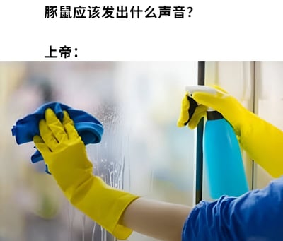 图片上方以黑色文字提问“豚鼠应该发出什么声音?”，下方紧接着以“上帝：”引出一张清洁场景实拍图。图中可见戴着黄色橡胶手套的双手正在清洁玻璃，左手持蓝色抹布擦拭玻璃表面（玻璃上有水渍痕迹），右手握着蓝色喷雾瓶准备喷洒清洁剂。通过“擦玻璃”动作产生的“唰唰”声与豚鼠实际叫声（通常为类似“吱吱”或“啾啾”的声音）进行谐音联想，以幽默方式回答提问，形成趣味梗图。