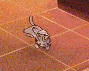 甜甜私房猫