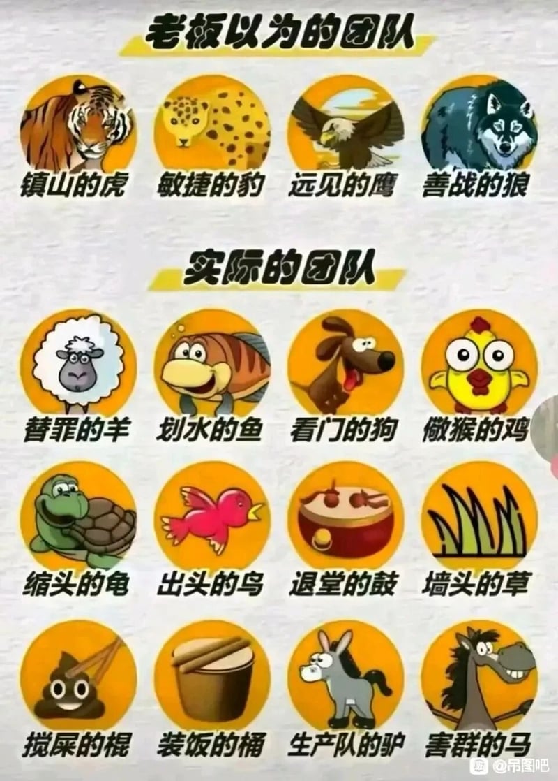 实际职场中仅做基础事务的成员