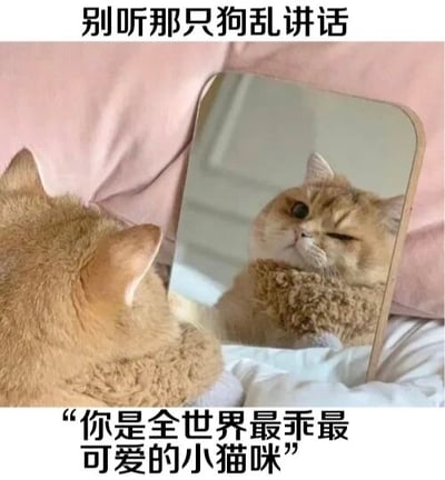 一只橘猫正趴在粉色的枕头上照镜子，镜子里映出它戴着毛绒项圈的模样，表情得意又满足。图片上方配有文字“别听那只狗乱讲话”，下方文字则是“你是全世界最乖最可爱的小猫咪”，通过拟人化的方式表现猫咪仿佛在镜子中自我肯定，忽略外界干扰，营造出可爱又搞笑的氛围。