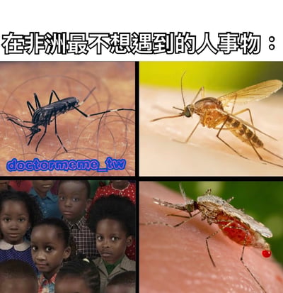 图片为2x2的四格拼接图，上方配有文字“在非洲最不想遇到的人事物：”。左上角是一只黑色蚊子停留在皮肤上的特写，带有“doctormeme_tw”蓝色水印；右上角为一只浅棕色蚊子的近照；左下角是一群非洲儿童的合影，他们表情各异看向镜头；右下角是一只腹部泛红且尾部带有红色液滴（疑似血液）的蚊子停留在皮肤上的画面。整体通过对比展示了蚊子在非洲可能带来的困扰。