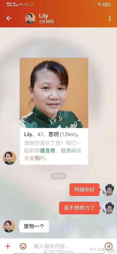 这是一张聊天记录截图，显示用户与名为Lily的联系人的对话。Lily的个人信息显示她47岁，来自思明（12km），头像为一位穿着绿色花纹旗袍的女性。她主动打招呼：“谢谢你喜欢了我！咱们一起聊聊健身房、鼓浪屿或者火锅吧。” 用户回复“阿姨你好”和“我不想努力了”，Lily则犀利回怼“废物一个”。整个对话充满网络调侃意味，“我不想努力了”是常见的摆烂梗，搭配Lily的直白回应形成搞笑效果。