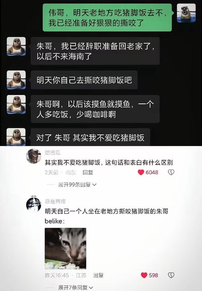 该图为社交平台截图，内容分为上下两部分：上半部分是两名使用同款墨镜白熊表情包作为头像的好友的聊天对话，昵称为朱哥的用户邀约名为伟哥的好友次日到老地方吃猪脚饭，戏称自己已经准备好“狠狠的撕咬”；伟哥回复告知对方自己已经辞职准备回老家，后续不会再来海南，让朱哥独自去吃猪脚饭，还叮嘱朱哥平日工作该摸鱼就摸鱼，多吃饭少喝咖啡，最后坦白自己其实并不爱吃猪脚饭。下半部分是该聊天内容下的两条高赞网友评论：第一条评论调侃“其实我不爱吃猪脚饭，这句话和表白有什么区别”，获赞6048；第二条评论配了一张小猫流着泪吃饭的表情包，调侃次日独自去吃猪脚饭的朱哥的状态，获赞598。整体内容充满打工人之间的离别伤感又带有搞笑感，容易引发职场人群共鸣。