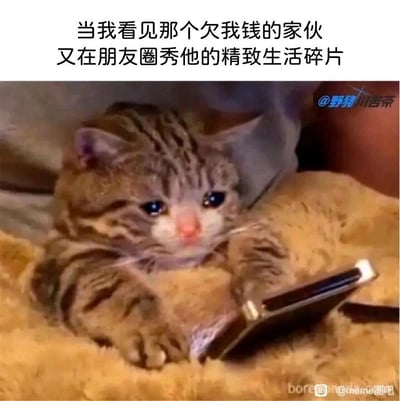这是一张图文结合的静态表情包，上方配有文字“当我看见那个欠我钱的家伙又在朋友圈秀他的精致生活碎片”，下方是一只泪眼汪汪、表情委屈巴巴的小猫咪，它趴在毛绒质感的毯子上，两只前爪搭在手机上，正盯着手机屏幕。这张图用拟人化的方式，将小猫咪的委屈神态和看到欠钱不还的人过得滋润时的复杂情绪绑定，精准还原了当事人内心委屈、气愤又无奈的心情，戳中了很多有被欠钱经历的人的共鸣点，是用来吐槽这类糟心经历的趣味素材。